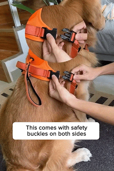 DogDynamics Harnesses